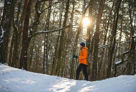 Miško Takas 54. Didžiasalis – Druskininkai – Žiogeliai.