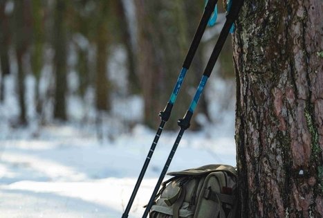 Miško Takas 54. Didžiasalis – Druskininkai – Žiogeliai.