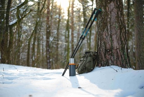 Miško Takas 52. Veisiejai – Trikojis.
