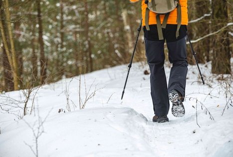 Forest Trail 51. Lazdijai – Veisiejai.