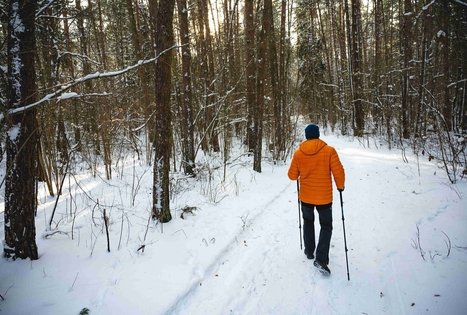 Miško Takas 58. Alytus – Panemunis.