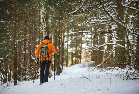 Forest Trail 51. Lazdijai – Veisiejai.