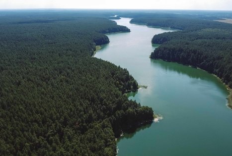 Forest Trail 52. Veisiejai – Trikojis.