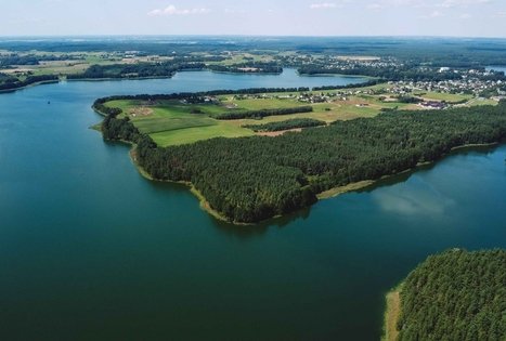 Forest Trail 52. Veisiejai – Trikojis.