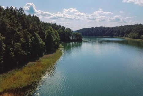 Forest Trail 52. Veisiejai – Trikojis.