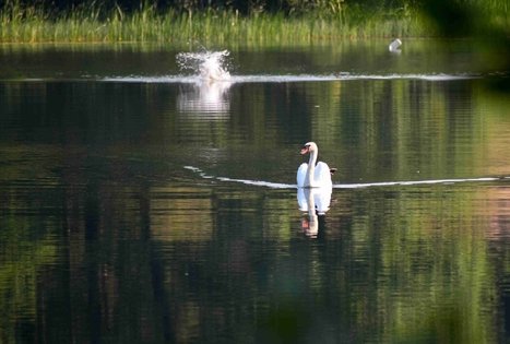 Ančia lake