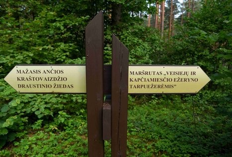 Ančia lake