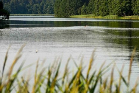 Ančia lake