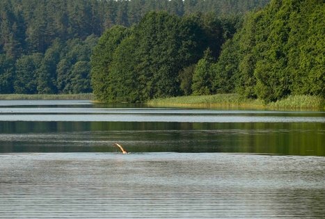 Ančia lake