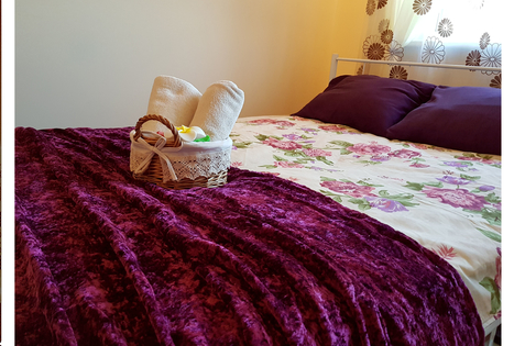 Sodyba „Meda house“