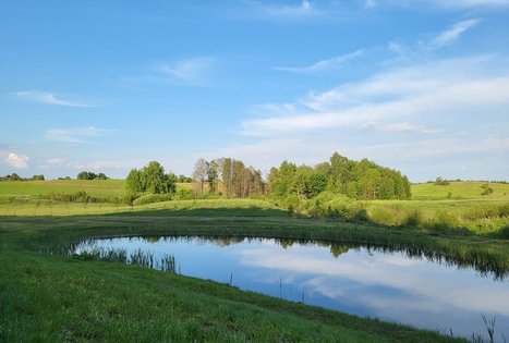 Gamtos melodija