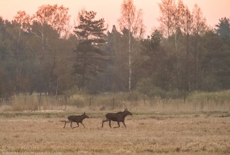 Eko turas su elektrobusu