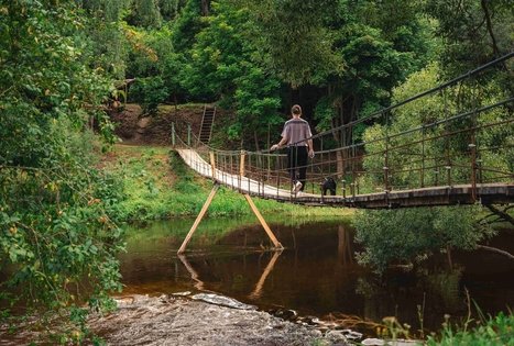 Forest Trail 69. Kirkšnovė – Kaulakiai.