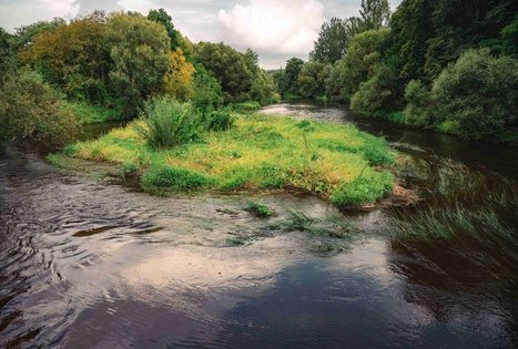 Forest Trail 69. Kirkšnovė – Kaulakiai.