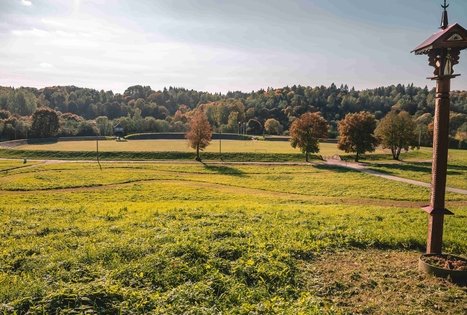 Ariogala Song Valley