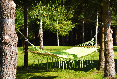 Sodyba „Antalakaja“