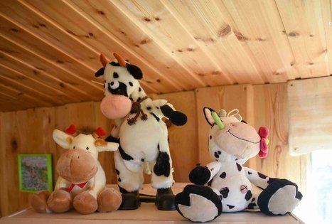 Farm “Augų ūkis”