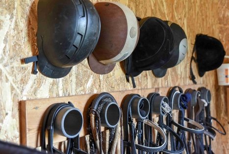 Farm “Augų ūkis”