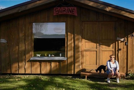 Farm “Augų ūkis”