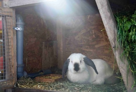 Farm “Augų ūkis”