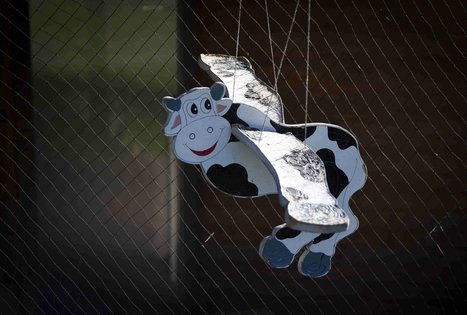 Farm “Augų ūkis”