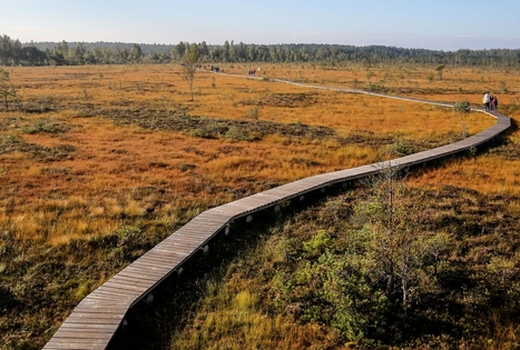 Aukštumalos pažintinis takas