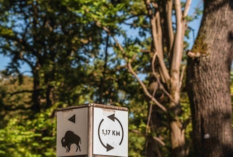 Oak-Wood Park (Ąžuolynas)