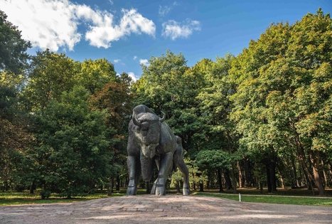 Oak-Wood Park (Ąžuolynas)