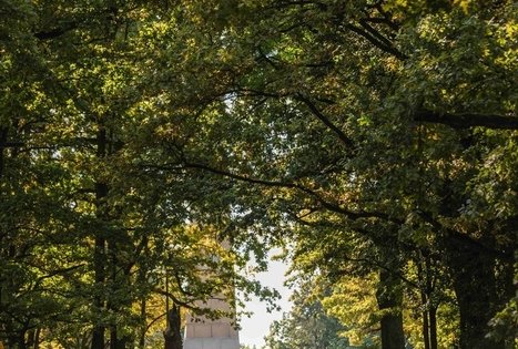 Oak-Wood Park (Ąžuolynas)