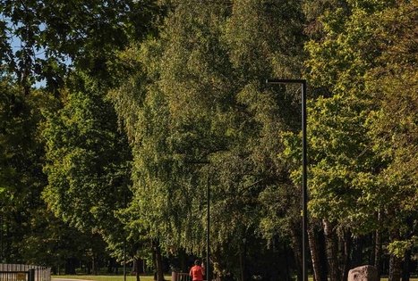Oak-Wood Park (Ąžuolynas)