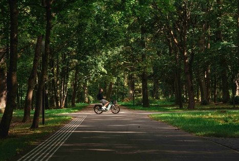 Oak-Wood Park (Ąžuolynas)