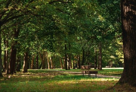 Oak-Wood Park (Ąžuolynas)