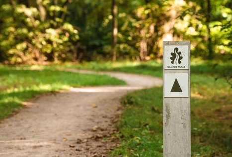 Oak-Wood Park (Ąžuolynas)