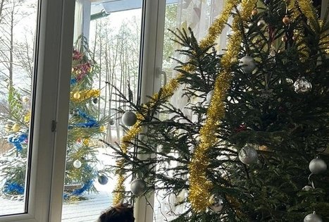 „Emilijos sodyba“