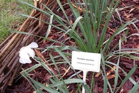 Lithuanian research centre for agriculture and forestry
