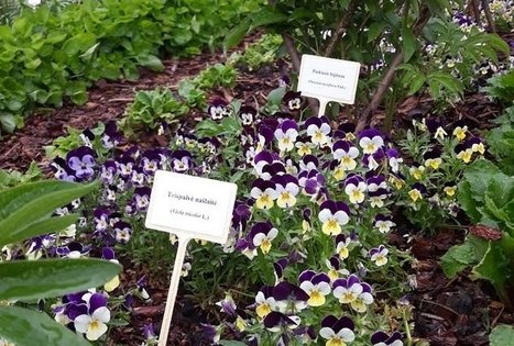 Lithuanian research centre for agriculture and forestry