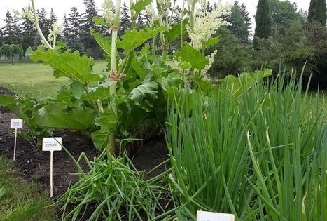 Lithuanian research centre for agriculture and forestry