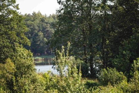 Forest Trail 51. Lazdijai – Veisiejai.