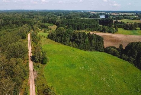 Forest Trail 51. Lazdijai – Veisiejai.