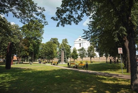 Forest Trail 51. Lazdijai – Veisiejai.