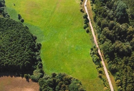 Forest Trail 51. Lazdijai – Veisiejai.