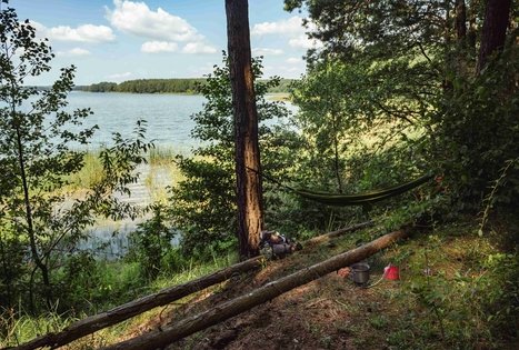 Forest Trail 52. Veisiejai – Trikojis.