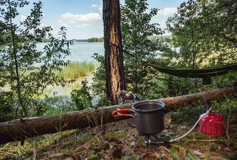 Forest Trail 52. Veisiejai – Trikojis.