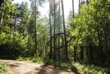 Forest Trail 52. Veisiejai – Trikojis.
