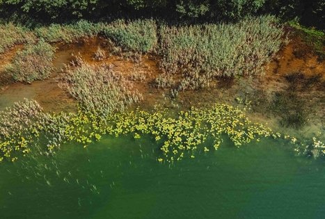 Forest Trail 52. Veisiejai – Trikojis.