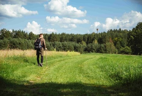 Forest Trail 52. Veisiejai – Trikojis.