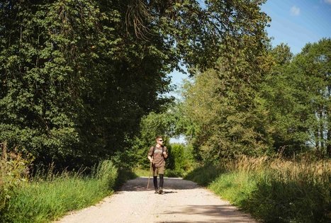 Forest Trail 53. Trikojis – Didžiasalis.