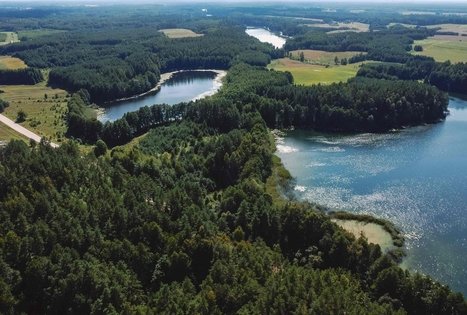 Forest Trail 53. Trikojis – Didžiasalis.