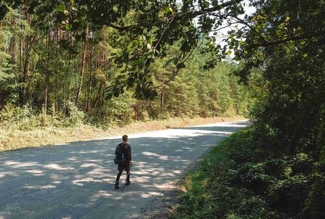 Forest Trail 53. Trikojis – Didžiasalis.