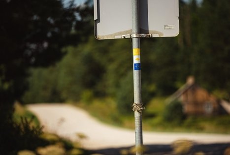 Forest Trail 53. Trikojis – Didžiasalis.